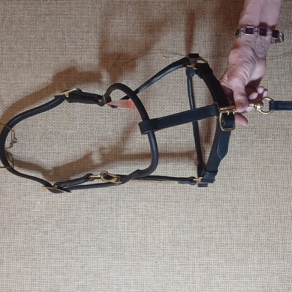 BILLY ROYAL HORSE SHOW HALTER NEW - Picture 1 of 7